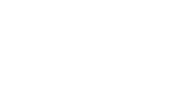 Norwegian EV Association logo negative